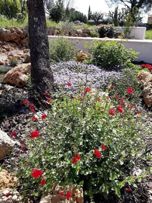 Maison 2 Ou 4 Personnes Jardin Parking Les Amandiers Lorgues Bagian luar foto