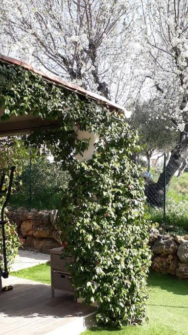 Maison 2 Ou 4 Personnes Jardin Parking Les Amandiers Lorgues Bagian luar foto